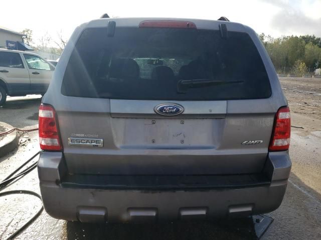 2008 Ford Escape XLT