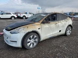 Salvage cars for sale from Copart Rocky View County, AB: 2021 Tesla Model Y