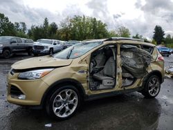 Salvage cars for sale at Portland, OR auction: 2014 Ford Escape Titanium