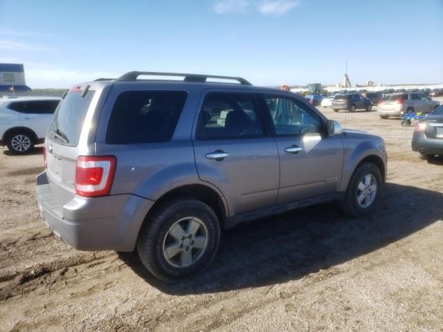 2008 Ford Escape XLT