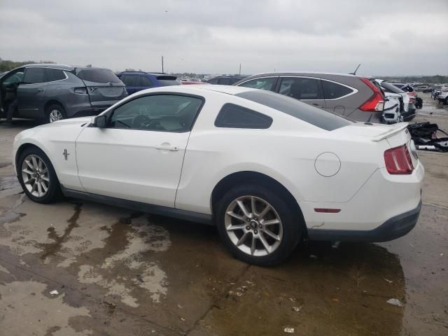 2010 Ford Mustang