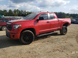 Salvage cars for sale from Copart Finksburg, MD: 2019 Toyota Tundra Double Cab SR/SR5
