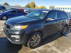 Salvage cars for sale at Littleton, CO auction: 2011 KIA Sorento SX