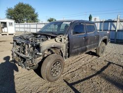 Salvage cars for sale from Copart San Diego, CA: 2023 Toyota Tacoma Double Cab