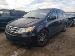 Salvage cars for sale at Elgin, IL auction: 2011 Honda Odyssey EX