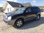 2006 Hyundai Santa FE GLS