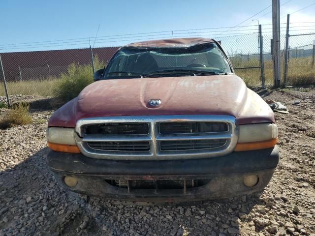 1999 Dodge Dakota