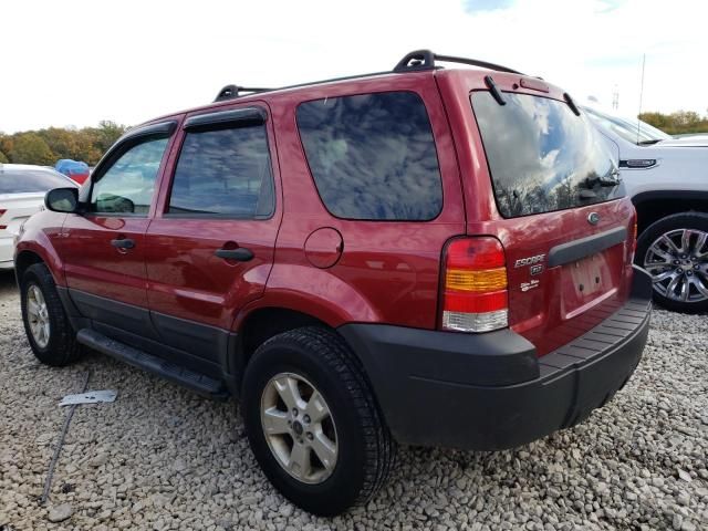 2005 Ford Escape XLT