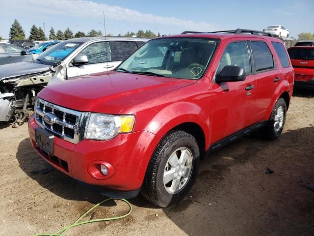 2011 Ford Escape XLT