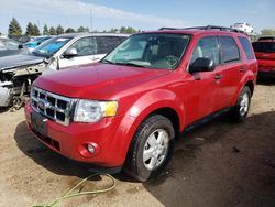 Ford Escape XLT salvage cars for sale: 2011 Ford Escape XLT