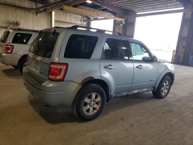 2009 Ford Escape Hybrid