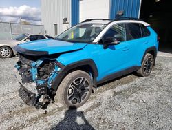 Salvage cars for sale at Elmsdale, NS auction: 2021 Toyota Rav4 Adventure