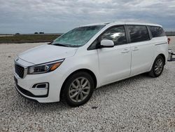 Salvage cars for sale from Copart Temple, TX: 2019 KIA Sedona LX