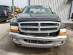 2003 Dodge Dakota SLT