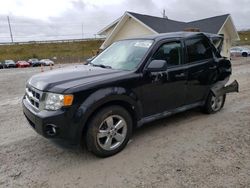 Salvage cars for sale at Northfield, OH auction: 2012 Ford Escape XLS