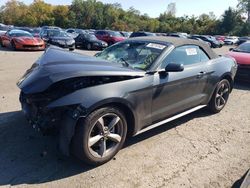 Salvage cars for sale from Copart New Britain, CT: 2015 Ford Mustang