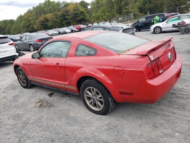 2005 Ford Mustang