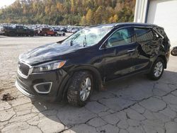 KIA Sorento salvage cars for sale: 2017 KIA Sorento LX