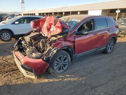 Salvage cars for sale from Copart Phoenix, AZ: 2021 Honda CR-V EX