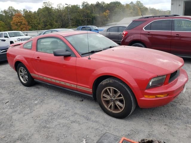 2005 Ford Mustang