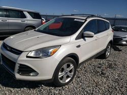 Cars With No Damage for sale at auction: 2013 Ford Escape SE
