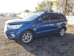 Salvage cars for sale from Copart London, ON: 2017 Ford Escape SE