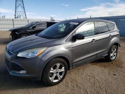 Salvage cars for sale from Copart Adelanto, CA: 2014 Ford Escape SE