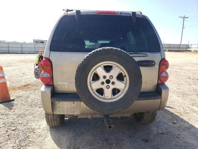 2002 Jeep Liberty Renegade