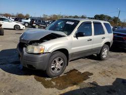 Salvage cars for sale at Earlington, KY auction: 2003 Ford Escape XLT