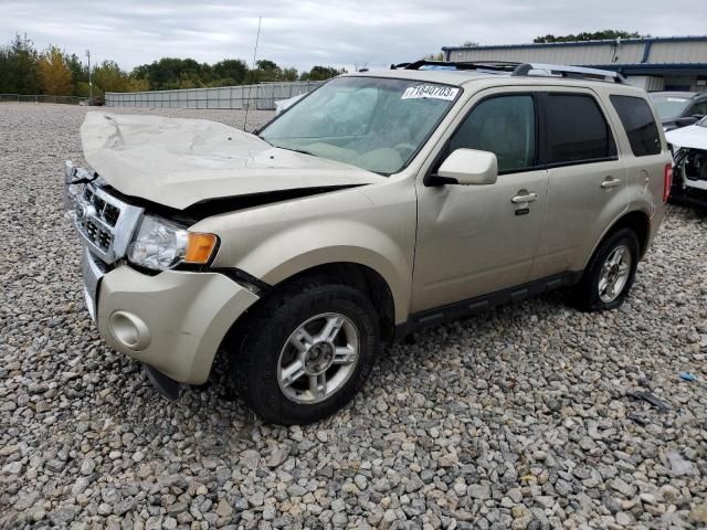 2010 Ford Escape Limited