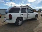 2006 Chevrolet Trailblazer LS