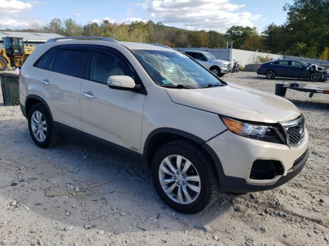 2011 KIA Sorento Base