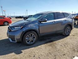 Salvage cars for sale at Greenwood, NE auction: 2022 Honda CR-V EX