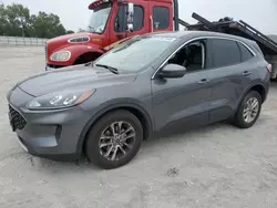 Salvage cars for sale at Cahokia Heights, IL auction: 2021 Ford Escape SE