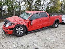 Salvage trucks for sale at Cicero, IN auction: 2013 Ford F150 Supercrew