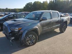 Salvage cars for sale from Copart Glassboro, NJ: 2023 Toyota Tacoma Double Cab