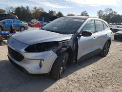 Ford Escape SEL salvage cars for sale: 2022 Ford Escape SEL