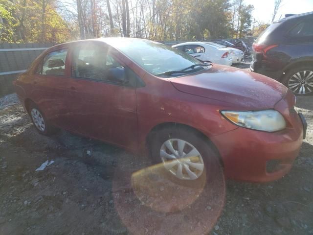 2009 Toyota Corolla Base