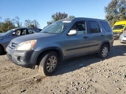 Salvage cars for sale at Baltimore, MD auction: 2006 Honda CR-V EX