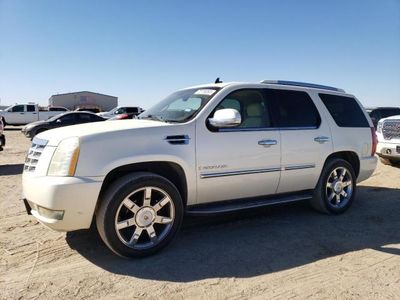 Salvage cars for sale from Copart Amarillo, TX: 2007 Cadillac Escalade Luxury