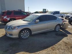 Salvage cars for sale from Copart Tucson, AZ: 2013 Honda Accord EXL