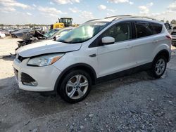 Ford salvage cars for sale: 2013 Ford Escape SE