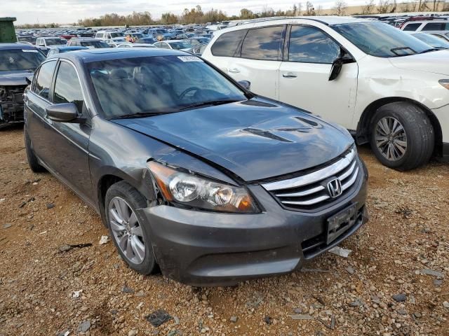 2011 Honda Accord EXL