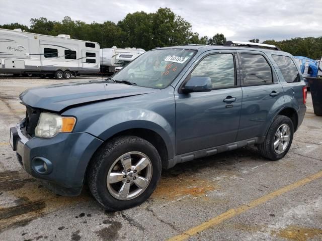 2011 Ford Escape Limited