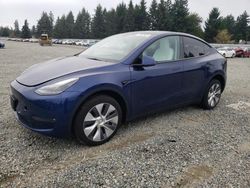 Salvage cars for sale from Copart Graham, WA: 2023 Tesla Model Y