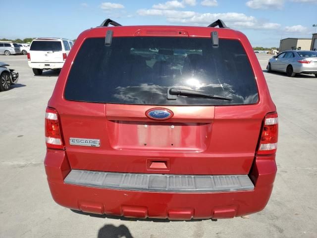 2010 Ford Escape XLT