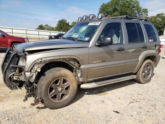 2002 Jeep Liberty Renegade