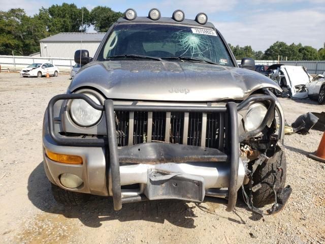 2002 Jeep Liberty Renegade