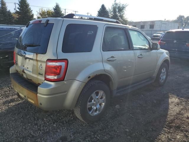 2011 Ford Escape Limited