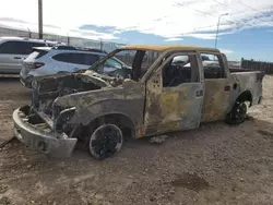 Salvage trucks for sale at Rapid City, SD auction: 2013 Ford F150 Supercrew